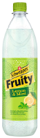Schweppes Fruity Lemon & Mint PET 6x1,00